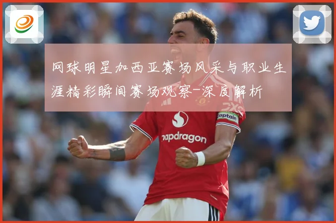 网球明星加西亚赛场风采与职业生涯精彩瞬间赛场观察-深度解析