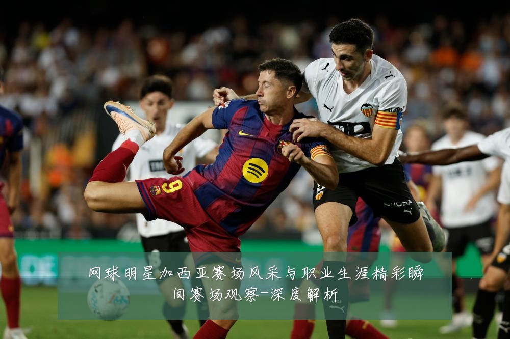 网球明星加西亚赛场风采与职业生涯精彩瞬间赛场观察-深度解析